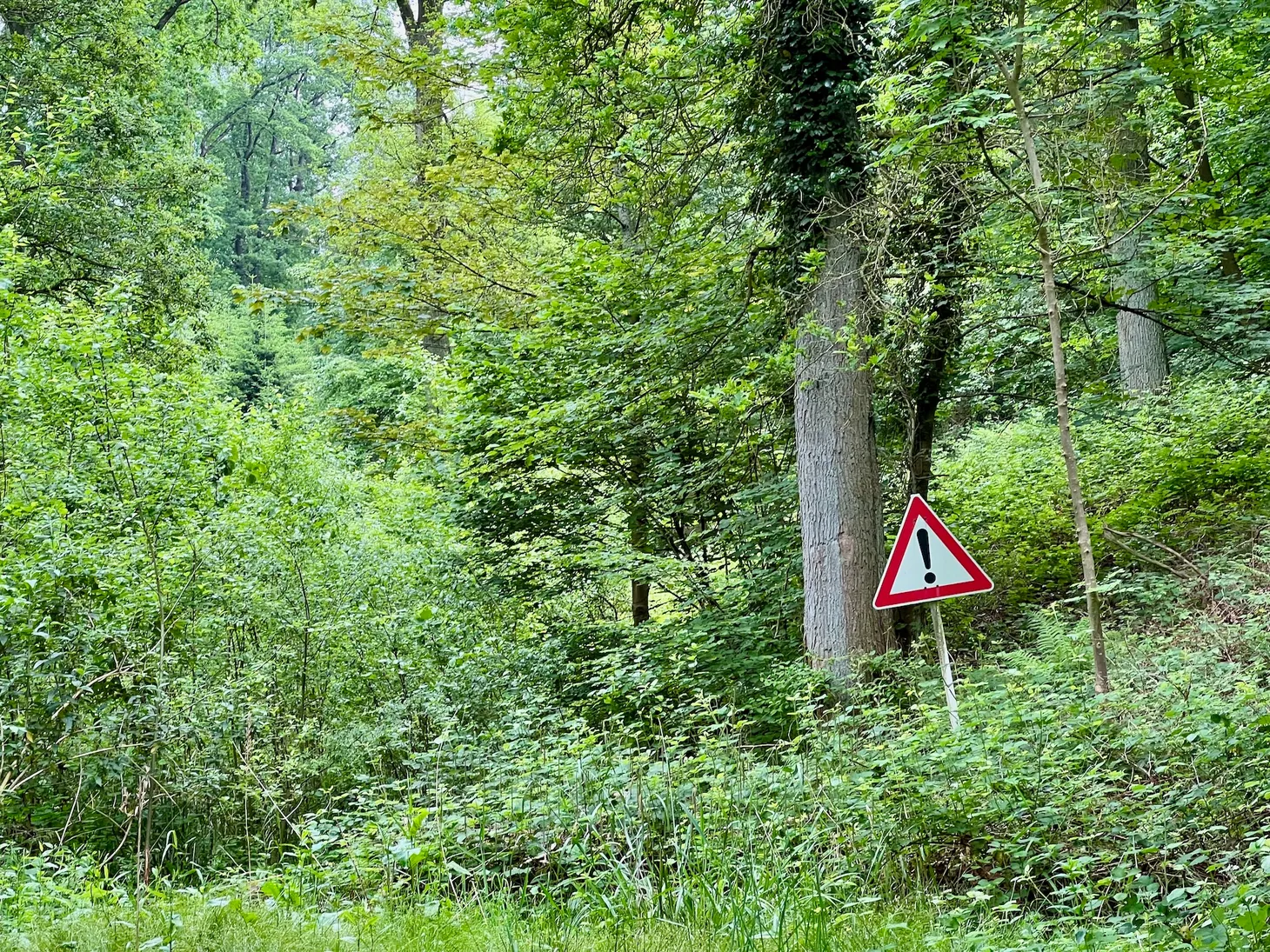 Für digitale Nachhaltigkeit