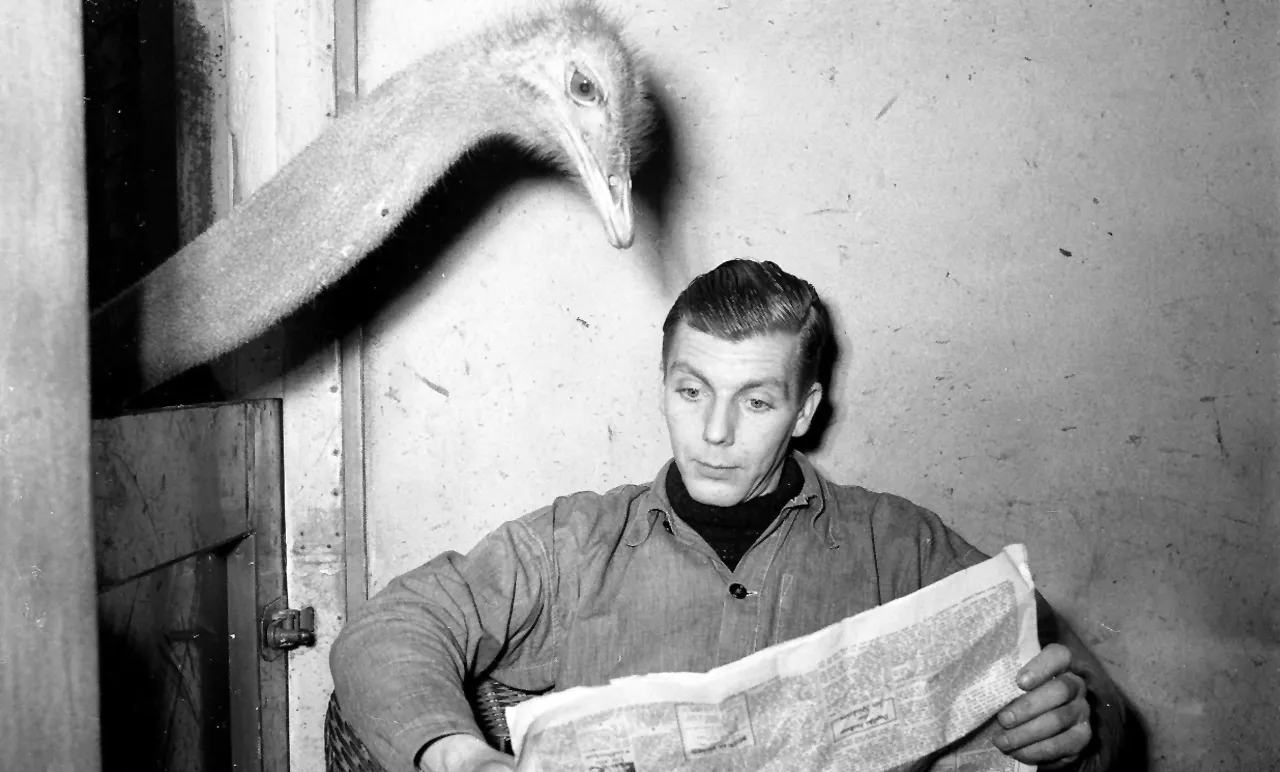 Wer investiert in die Zukunft, wenn alle sparen?