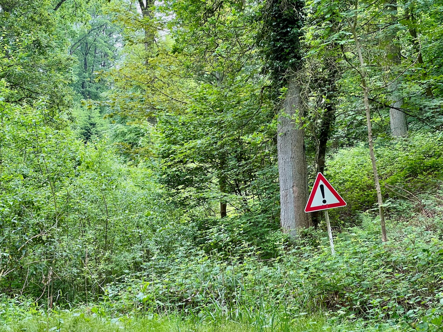 Für digitale Nachhaltigkeit