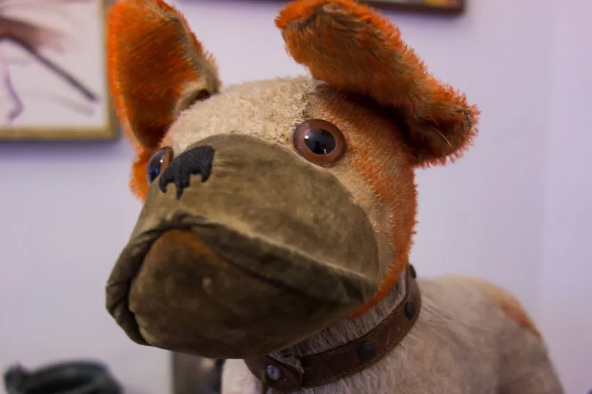 Dieses Hündchen ist 3000 Euro wert