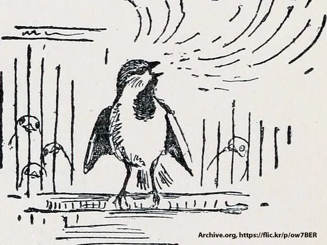 Sind für Twitter alle Organisationen männlich?