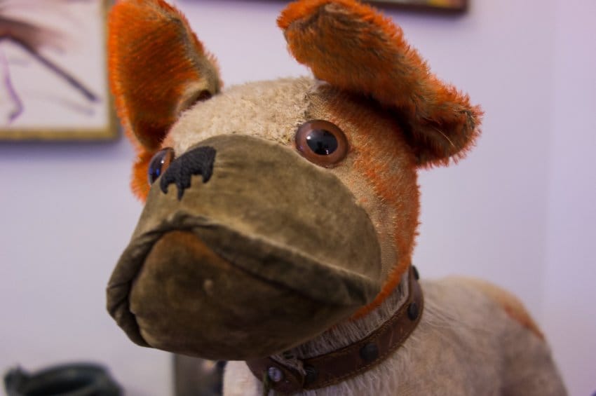 Dieses Hündchen ist 3000 Euro wert